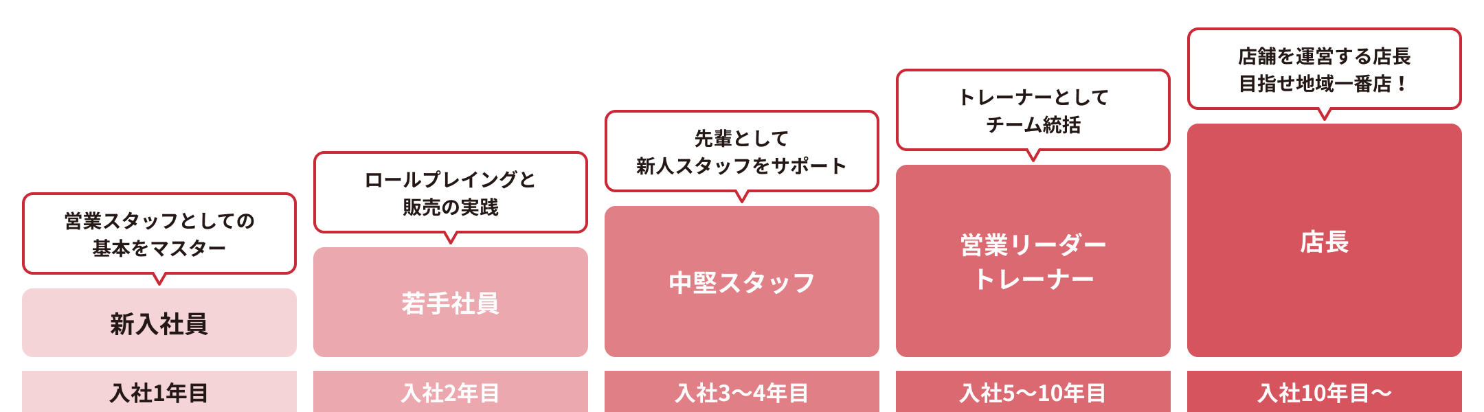 育成スケジュール