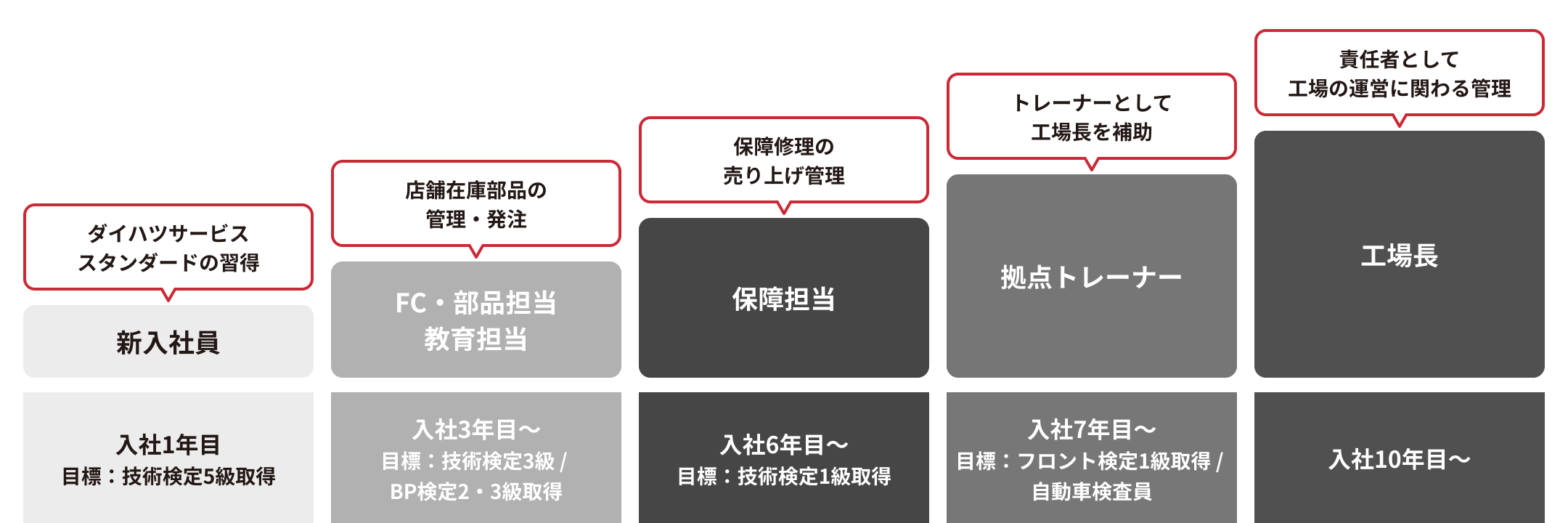 育成スケジュール